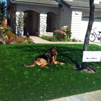 Artificial Grass Boerne, Texas Indoor Dog Park, Front Yard Ideas