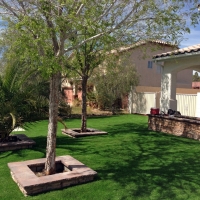 Artificial Grass Carpet Del Sol Colonia, Texas Landscaping Business, Small Front Yard Landscaping