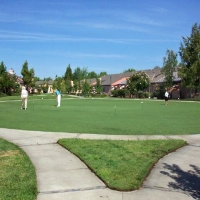 Artificial Grass Carpet El Campo, Texas Lawns, Commercial Landscape