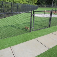 Artificial Grass Carpet Georgetown, Texas Lacrosse Playground, Recreational Areas