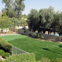 Artificial Grass Carpet Paisano Park Colonia, Texas Gardeners, Backyard Landscaping Ideas