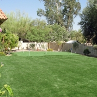 Artificial Grass Carpet Paisano Park Colonia, Texas Gardeners, Backyard Landscaping Ideas