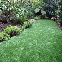 Artificial Grass Carpet Sealy, Texas Home And Garden, Backyard Garden Ideas