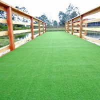 Artificial Grass Cinco Ranch, Texas Watch Dogs, Commercial Landscape