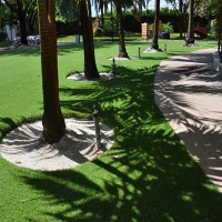 Artificial Grass Lago Vista, Texas Roof Top, Commercial Landscape