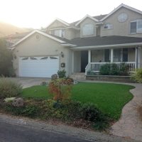 Artificial Lawn Fredericksburg, Texas Landscaping, Front Yard Design