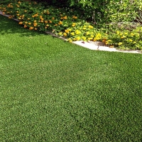 Artificial Lawn Leming, Texas Gardeners, Front Yard Landscaping Ideas