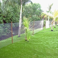 Artificial Lawn Lexington, Texas Lawn And Landscape, Backyard Ideas