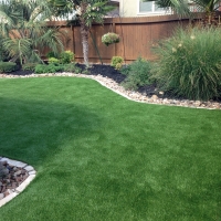 Artificial Lawn Little River-Academy, Texas Design Ideas, Backyard Ideas