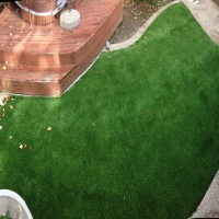 Artificial Lawn Shiner, Texas City Landscape, Backyard Design