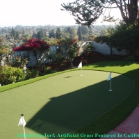 Artificial Lawn Windcrest, Texas Diy Putting Green, Backyard Landscape Ideas