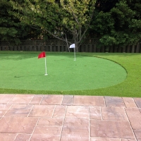 Artificial Lawn Wixon Valley, Texas Putting Green, Backyard Designs