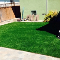 Artificial Turf Eagle Lake, Texas Watch Dogs, Backyard Design