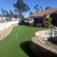 Artificial Turf Staples, Texas Putting Green Turf, Backyard Landscaping Ideas