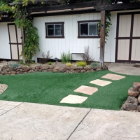 Best Artificial Grass Early, Texas Landscaping, Small Front Yard Landscaping