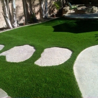 Best Artificial Grass Garfield, Texas Gardeners, Backyard Makeover