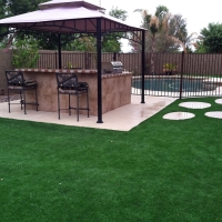 Fake Grass Carpet Karnes City, Texas Landscaping Business, Backyard Garden Ideas