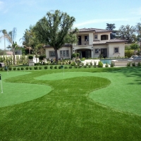 Fake Grass Carpet Nordheim, Texas How To Build A Putting Green, Front Yard Design