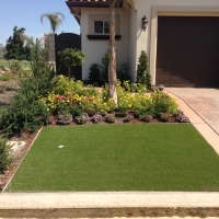 Fake Grass Carpet Tradewinds, Texas Rooftop, Front Yard Landscaping Ideas