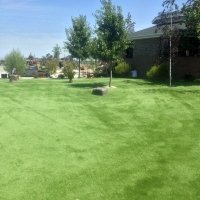 Fake Grass Carpet Tuleta, Texas Dogs, Recreational Areas