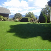 Fake Lawn Kirby, Texas Lawns, Backyard