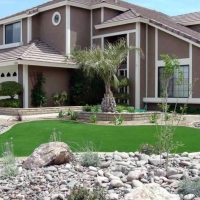 Fake Lawn Needville, Texas Landscape Ideas, Front Yard Landscape Ideas