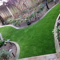 Fake Lawn Placedo, Texas Landscaping, Backyard Ideas