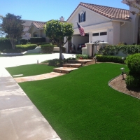 Fake Turf Burnet, Texas Gardeners, Front Yard Ideas