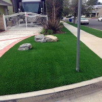 Fake Turf Cactus, Texas Lawn And Landscape, Small Front Yard Landscaping