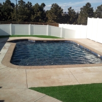 Faux Grass Loma Linda East Colonia, Texas Home And Garden, Natural Swimming Pools