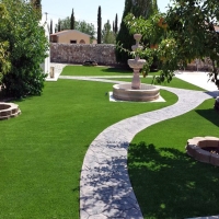 Grass Carpet Harker Heights, Texas Gardeners, Backyard Landscaping Ideas