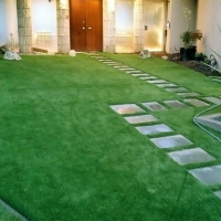 Grass Carpet Lake View, Texas Lawns, Front Yard Landscaping Ideas