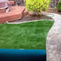 Grass Carpet Point Venture, Texas Landscape Photos, Backyard Ideas