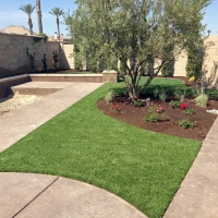 Grass Turf Barton Creek, Texas City Landscape, Front Yard Ideas