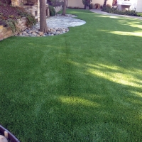 Grass Turf Helotes, Texas Watch Dogs, Backyard Ideas