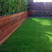 Grass Turf Jarrell, Texas Lawn And Landscape, Backyard Landscaping Ideas