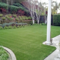 Green Lawn Alice Acres, Texas Landscape Photos, Backyard Landscaping Ideas