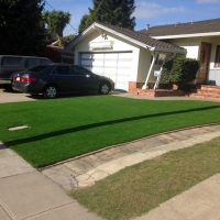 Green Lawn Blanket, Texas Landscape Ideas, Front Yard Landscaping Ideas