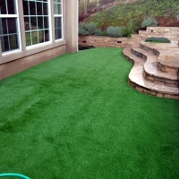 Green Lawn Bloomington, Texas Landscaping Business, Backyard Landscaping