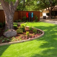 Green Lawn Morgan Farm Colonia, Texas Landscape Photos, Backyard