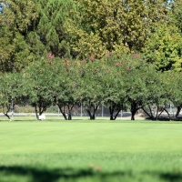 Installing Artificial Grass Markham, Texas Artificial Putting Greens