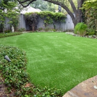 Outdoor Carpet Asherton, Texas Landscape Design, Backyard Designs