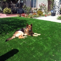 Outdoor Carpet Leon Valley, Texas Roof Top, Front Yard Landscaping