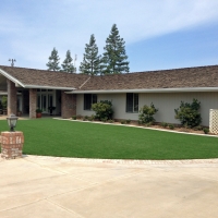 Plastic Grass Beeville, Texas Rooftop, Front Yard Design