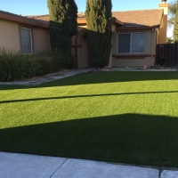 Plastic Grass Cactus, Texas Home And Garden, Front Yard Landscaping