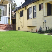 Synthetic Grass Cost Hornsby Bend, Texas Landscape Design, Small Front Yard Landscaping