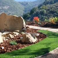 Synthetic Grass Edgewater-Paisano, Texas Landscape Design, Front Yard Design