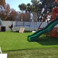 Synthetic Lawn Las Colonias, Texas City Landscape, Backyard Design