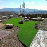 Synthetic Turf Burton, Texas Indoor Dog Park, Backyard Makeover