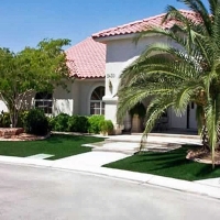 Synthetic Turf Flatonia, Texas Rooftop, Small Front Yard Landscaping